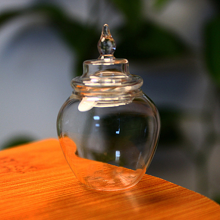Honeyhandy Mini Glass Jar, Canister, with Lid, for Dollhouse Accessories Pretending Prop Decorations, Clear, 30x48mm