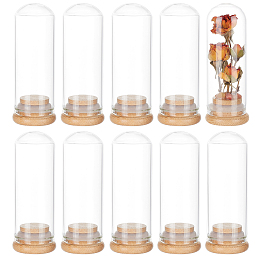 Glass Dome Cover, Decorative Display Case, Cloche Bell Jar Terrarium with Bamboo Base, for DIY Preserved Flower Gift, Clear, 32x85mm