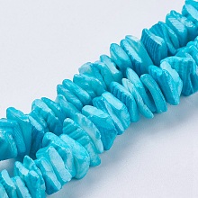 Honeyhandy Natural Sea Shell Beads Strands, Dyed, Square Heishi Beads, Dark Turquoise, 1~3.5x4.5~10x4.5~10mm, Hole: 0.5mm, 16.1 inch~16.9 inch