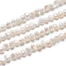 Honeyhandy Natural Cultured Freshwater Pearl Beads Strands, Two Sides Polished, Nuggets, Antique White, 3.5~4.5x2.5~3x3~3.5mm, Hole: 0.5mm, about 48pcs/strand, 6.61 inch(16.8cm)