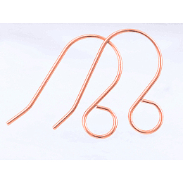 Honeyhandy 100Pcs 316 Stainless Steel French Earring Hooks, Flat Earring Hooks, Ear Wire, with Horizontal Loop, Rose Gold, 26x20mm, Hole: 4.6mm, Pin: 0.8mm