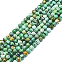 Natural Variscite Beads Strands, Round, 10mm, Hole: 1mm, about 40pcs/strand, 15.55 inch(39.5cm)