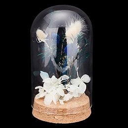 PH PandaHall Cloche Glass Dome, Glass Display Dome with Cork Base Decoration Bottles Cloche Bell Jar for Collectibles Flower Office Home Tabletop Centerpiece Decoration, 3.14x5.6inch