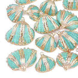 Honeyhandy Spray Paint & Electroplate Sea Shell Pendants, with Iron Findings, Light Gold, Turquoise, 18~30x20~30x7~11mm, Hole: 2mm