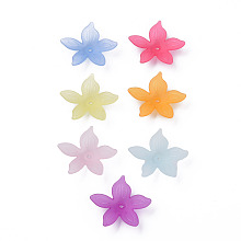 Honeyhandy Transparent Acrylic Beads, Frosted, Flower, Mixed Color, 26x27x6mm, Hole: 1.8mm