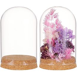 BENECREAT 2 Set Glass Display Dome with Cork Base, 3.14x4.6 inch Tabletop Centerpiece Cloche Bell Jar for Flower Plants, Specimens, Crafts Decorations, Inner Diameter: 76mm