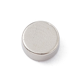 Honeyhandy Flat Round Refrigerator Magnets, Office Magnets, Whiteboard Magnets, Durable Mini Magnets, Platinum, 6x2.5mm