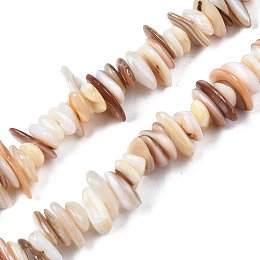 Honeyhandy Natural Freshwater Shell Beads Strands, Chips, Seashell Color, 0.4~4x6.5~20x4.5~8.5mm, Hole: 0.7~0.8mm, about 301~340pcs/strand, 30.94 inch~32.36 inch(78.6cm~82.2cm)