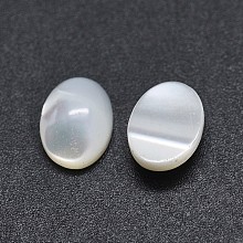 Honeyhandy Shell Cabochons, Oval, White, 8x6x2~4mm