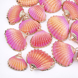 Honeyhandy Spray Paint & Electroplate Sea Shell Pendants, with Iron Findings, Light Gold, Colorful, 19~28x20~30x7~11mm, Hole: 2mm