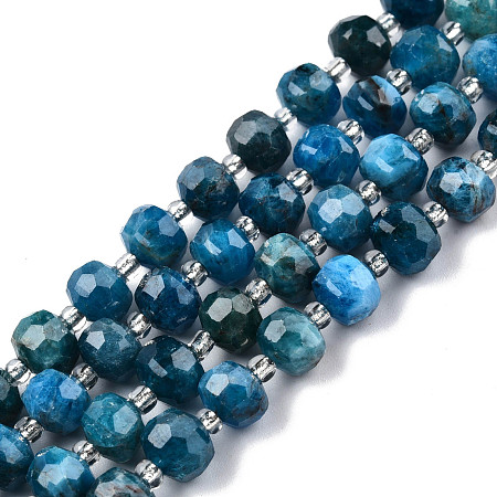 Honeyhandy Natural Apatite Beads Strands, with Seed Beads, Faceted, Rondelle, 8x6mm, Hole: 1mm, about 20~22pcs/strand, 7.09 inch(18cm)