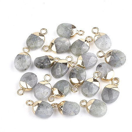 Honeyhandy Electroplate Natural Labradorite Charms, with Iron Findings, Faceted, Oval, Golden, 14~15x8x5~5.5mm, Hole: 1.8mm