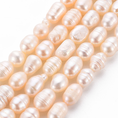 ARRICRAFT Natural Cultured Freshwater Pearl Beads Strands, Rice, Seashell Color, 7~9x6~7mm, Hole: 0.5mm, about 22~23pcs/strand, 7.09''(18cm)
