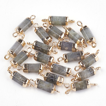 Honeyhandy Electroplate Natural Labradorite Links connectors, with Iron Findings, Column, Golden, 20~21x5~6x5~6mm, Hole: 1.8mm