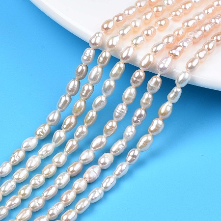 Natural Cultured Freshwater Pearl Beads Strands, Rice, Seashell Color, 5~6.5x3.5~4mm, Hole: 0.7mm, about 70~75pcs/strand, 13.66 inch~14.29 inch(34.7cm~36.3cm)