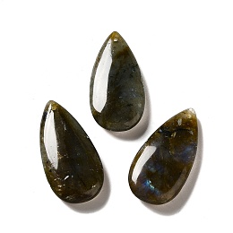 Honeyhandy Natural Labradorite Pendants, Teardrop Charm, 39~39.5x19~19.5x6.5~7mm, Hole: 1.2mm