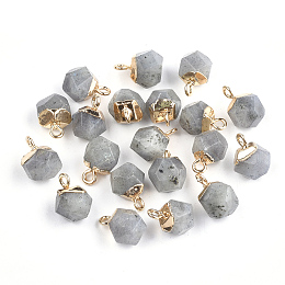 Honeyhandy Electroplate Natural Labradorite Charms, with Iron Findings, Faceted, Golden, 11~12x8x8mm, Hole: 1.5mm