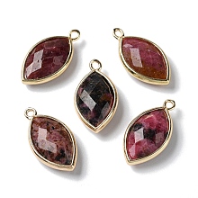 Honeyhandy Natural Rhodonite Pendants, with Golden Brass Edge, Faceted, Horse Eye, 22x12x5.5mm, Hole: 1.8mm