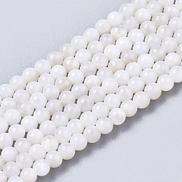 Honeyhandy Natural Freshwater Shell Beads Strands, Dyed, Round, Floral White, 2.5mm, Hole: 0.7mm, about 180~185pcs/Strand, 15.55 inch~15.91 inch