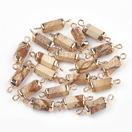 Honeyhandy Electroplate Natural Picture Jasper Links, with Iron Findings, Column, Golden, 20~21x5~6x5~6mm, Hole: 1.8mm