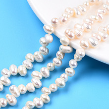 Honeyhandy Natural Cultured Freshwater Pearl Beads Strands, Oval, Seashell Color, 7~8.5x5~6.5mm, Hole: 0.7mm, about 68~71pcs/strand, 14.17 inch~14.29 inch(36~36.3cm)