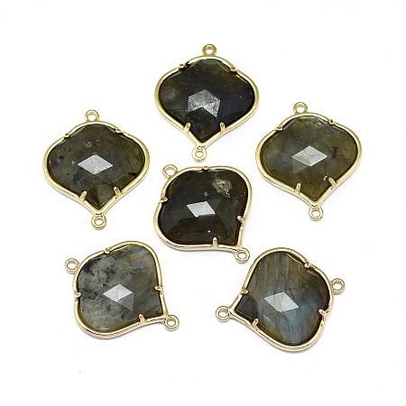 Honeyhandy Natural Labradorite Links connectors, with Golden Tone Brass Findings, Faceted, 26x21.5x5.5mm, Hole: 1.5~1.6mm