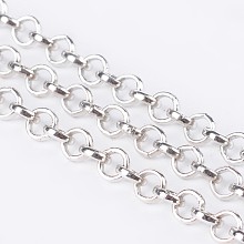 Honeyhandy Iron Rolo Chain, Unwelded, with Spool, Lead Free, Platinum, 4x1mm, about 164.04 Feet(50m)/roll