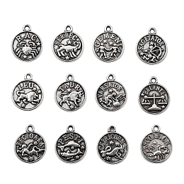 Honeyhandy Tibetan Style Alloy Charms, Flat Round with Twelve Constellation, Lead Free, Antique Silver, 14.5x12x2mm, Hole: 1.4mm, 12 constellations, 5pcs/constellation, 60pcs/set