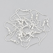 Honeyhandy Iron Earring Hooks, Ear Wire, with Horizontal Loop, Nickel Free, Silver Color Plated, 17~19x0.8mm, Hole: 2mm, about 240pcs/50g