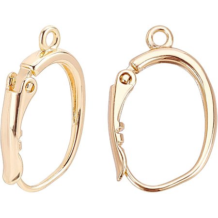 BENECREAT 10PCS Gold Plated Round Hoop Earrings Spring Hoop Earring with Container for DIY Jewelry Making