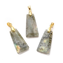 Honeyhandy Natural Labradorite Pendants, Faceted Trapezoid Charms, with Rack Plating Golden Tone Brass Findings, Cadmium Free & Lead Free, 25~26x12.5~13x3.5~4mm, Hole: 5x4mm