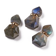 Honeyhandy Hexagon Natural Labradorite Perfume Bottle Pendants, with 304 Stainless Steel Findings, Faceted, Golden, 27~27.5x16~17x8mm, Hole: 1.4mm, Capacity: about 2ml(0.06 fl. oz)