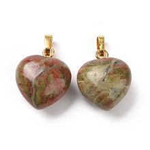 Honeyhandy Natural Unakite Pendants, with Golden Tone Brass Findings, Heart Charm, 18x15~15.5x6~8mm, Hole: 6x3mm