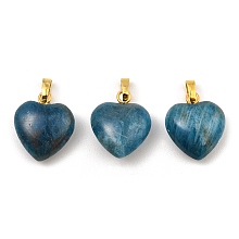 Natural Apatite Pendants, Heart Charms with Golden Tone Brass Snap on Bails, 18x15x6mm, Hole: 6x3mm