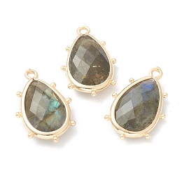 Honeyhandy Natural Labradorite Pendants, with Golden Brass Edge, Faceted, Teardrop, 22.5x14x5.5mm, Hole: 1.6mm