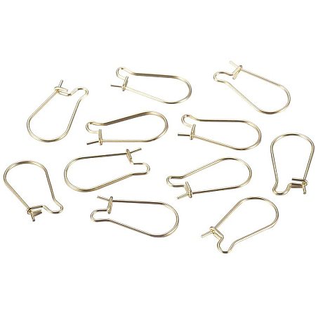 PandaHall Elite About 100 Pcs 304 Stainless Steel Earrings Hooks Earwires Lever Back Components Kidney Ear Wires 20x10.5mm for Drop Dangle Earrings, Gold