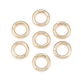 ARRICRAFT Brass Keychain Clasp Findings, Donut, Nickel Free, Real 18K Gold Plated, 23x4mm, Inner Diameter: 15mm