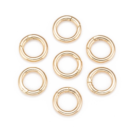 ARRICRAFT Brass Keychain Clasp Findings, Donut, Nickel Free, Real 18K Gold Plated, 23x4mm, Inner Diameter: 15mm