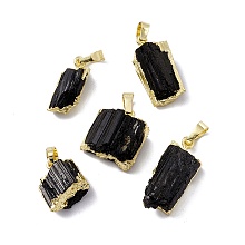 Honeyhandy Natural Black Tourmaline Pendants, Nuggets Charms, with Brass Findings, Cadmium Free & Lead Free, Golden, 16~27.5x9.5~17x7~11.5mm, Hole: 5x8mm