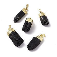 Honeyhandy Natural Black Tourmaline Pendants, Nuggets Charms, with Brass Findings, Cadmium Free & Lead Free, Golden, 23~33x8.5~15x6~11.5mm, Hole: 5x8mm