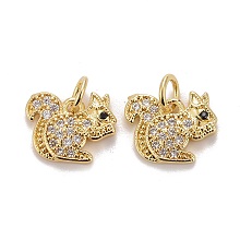 Honeyhandy Autumn Theme Brass Micro Pave Clear & Black Cubic Zirconia Charms, Squirrel, Golden, 12x12.5x2mm, Jump Ring: 5x0.8mm, Inner Diameter: 3.4mm