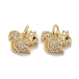 Honeyhandy Autumn Theme Brass Micro Pave Clear & Black Cubic Zirconia Charms, Squirrel, Golden, 12x12.5x2mm, Jump Ring: 5x0.8mm, Inner Diameter: 3.4mm