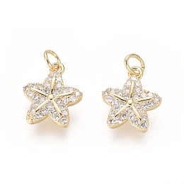 Honeyhandy Brass Charms, with Clear Cubic Zirconia and Jump Rings, Starfish/Sea Stars, Golden, 11.5x9.5x2mm, Hole: 2.5mm