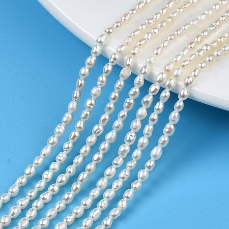 Honeyhandy Natural Cultured Freshwater Pearl Beads Strands, Rice, Seashell Color, 3~3.5x2.5mm, Hole: 0.6mm, about 90~92pcs/strand, 13.78 inch(35cm)