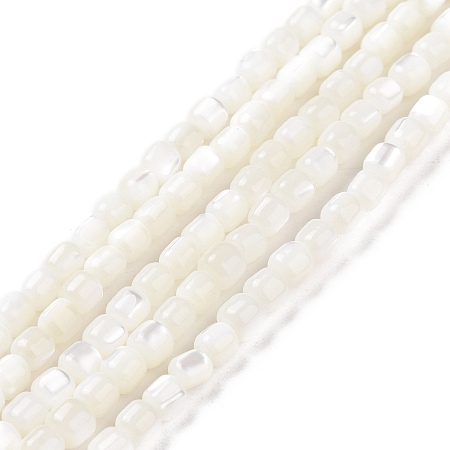 Honeyhandy Natural Trochus Shell Beads Strands, Dyed, Column, White, 3.5x3.5mm, Hole: 0.8mm, about 113pcs/strand, 15.59''(39.6cm)