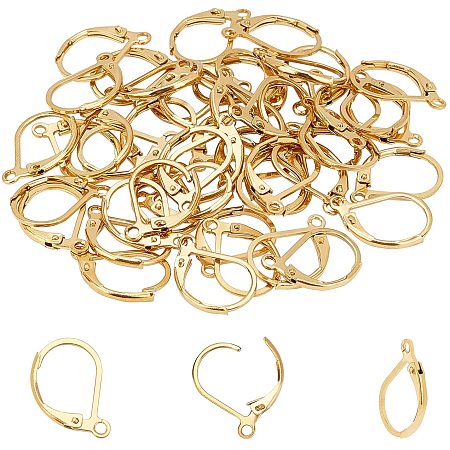 UNICRAFTALE 50pcs Stainless Steel Leverback Earring Findings Golden Earring Components with Loop Leverback Earring Findings for DIY Jewelry Making Pin 0.7x0.6mm