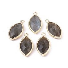 Honeyhandy Natural Labradorite Pendants, with Golden Plated Brass Findings, Faceted, Horse Eye, 21.5x11.5x3~5mm, Hole: 1.6mm