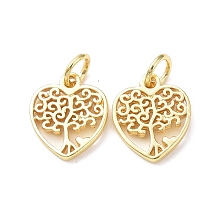 Honeyhandy Rack Plating Brass Charms, with Jump Ring, Lead Free & Cadmium Free, Hollow, Heart with Tree of Life Charm, Real 18K Gold Plated, 12x10x1.5mm, Hole: 3mm