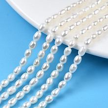 Honeyhandy Natural Cultured Freshwater Pearl Beads Strands, Rice, Seashell Color, 5~6x3.5~4mm, Hole: 0.7mm, about 71~74pcs/strand, 14.72 inch~15.04 inch(37.4~38.2cm)