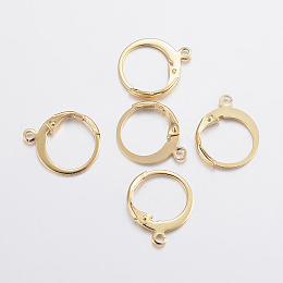 Honeyhandy 304 Stainless Steel Leverback Earring Findings, with Loop, Real 24K Gold Plated, 14x12x2mm, Hole: 1.2mm, Pin: 0.6x1mm